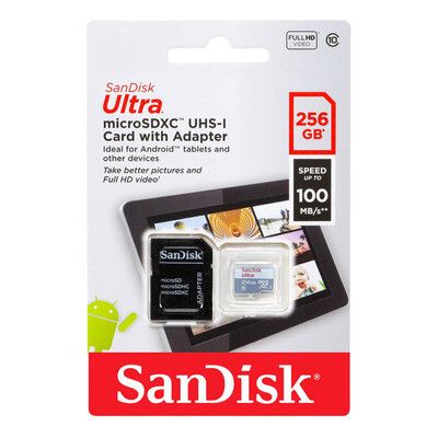 MEMORIA SANDISK 256 GB (CLASE 10)
