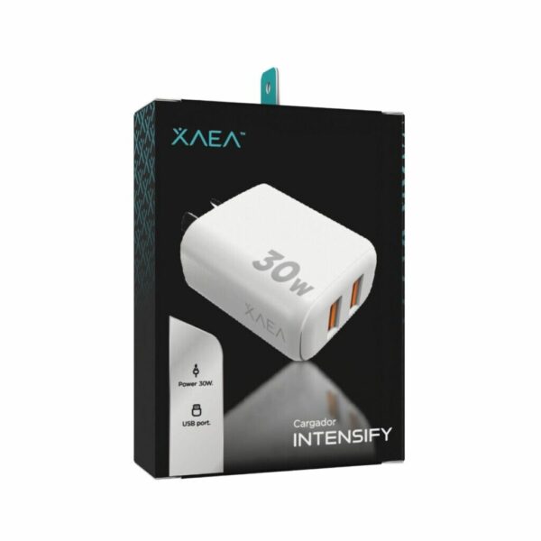 CABEZAL 220V XAEA INTENSIFY 2USB